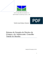 Sistema de Garantias de Direitos Da Criança e Do Adolescente: Conselho Tutelar