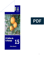 Cultivo de Naranja PDF