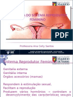 Anatomia Do Sistema Reprodutor Feminino