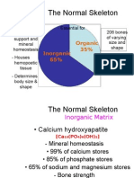 The Normal Skeleton: Inorganic 65% Organic 35%