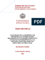 DFIFA Sanchez Martin C Capacidad PDF