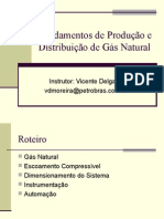 Fundamentos de Produção e Distribuição de Gás Natural