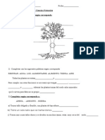 Evaluacion de Las Plantas