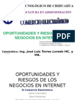 Oportunidades y Riesgos de Los Negocios en Internet