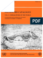 FAO SPECIES CATALOGUE. Cephalopods of The World