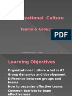 Organizational Culture: Teams & Groups