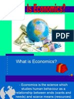 What Is Economics