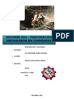 Informe 004