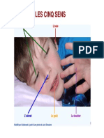 Anatomie de l'OEIL (Compatibility Mode) PDF