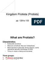 9 1 Protists