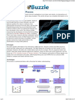 DNA Fingerprinting Process