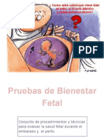  Bienestar Fetal 