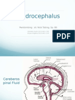 Hydrocephalus 