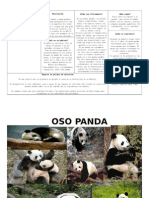 Oso Panda