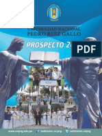 Prospecto Universidad Nacional Pedro Ruiz Gallo 2015