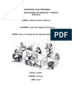 Fines y Funciones de Las Organizaciones Sindicales, Derecho Laboral Colectivo