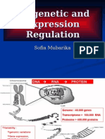 Epigenetic and Expression Regulation