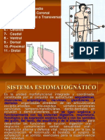 Plano Sagital Medio 2. - Plano Frontal