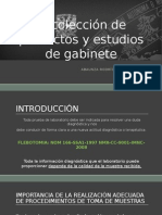 Recolección de Productos y Estudios de Gabinete