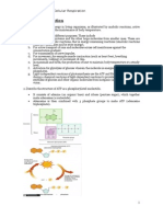 A2 Biology Notes Cellular Respiration