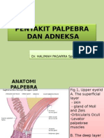 Penyakit Palpebra Dan Adneksa