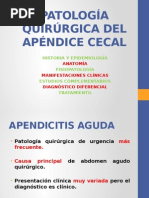 Patología Quirúrgica Del Apéndicee Cecal y Enfermedad Diverticular