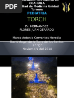 Torch Pediatria