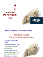 Cavidad Nasal