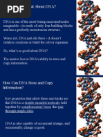 2 Dna Structure and Replication