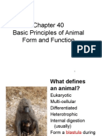 Basic Principles of Animal Form and Function