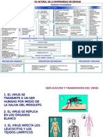 Historia Natural de La Enfermedad Dengue