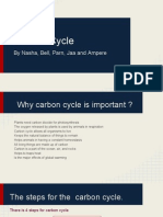 Carbon Cycle