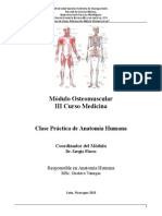 Guias ANATOMIA CP Locomotor 2015