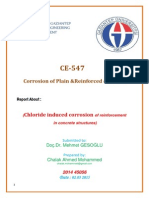 Chloride Induced Corrosion