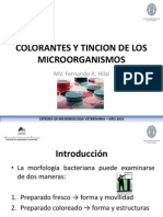 Coloraciones y Tinciones