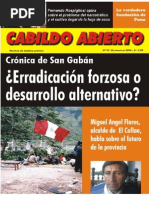 Cabildo Abierto N. 2 PDF