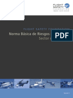 Norma Básica de Riesgos en Aviación