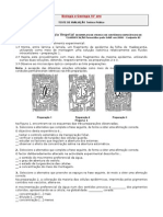 Teste TP Transporte Nas Plantas