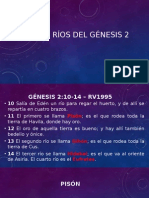 Cuatro Rios Del Genesis