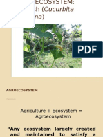 Agro Ecosystem