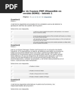 Simulador de Examen PMP