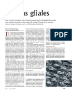 Articulo 2 Celulas Gliales PDF