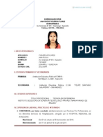 Curriculum Vitae