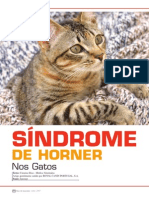 Sindrome de Horner Nos Gatos PDF