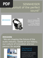 SENNHEISER - Organizational Culture