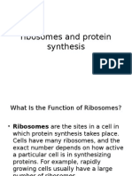 Ribosomes and Protein Synthesis