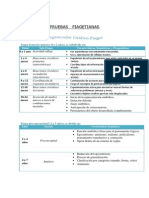 Pruebas Piagetianas PDF