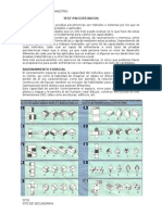 TEST PSICOTÉCNICOS - N°01