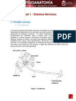 Sistema Nervioso UNC