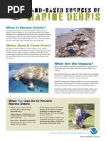 Understanding Marine Debris